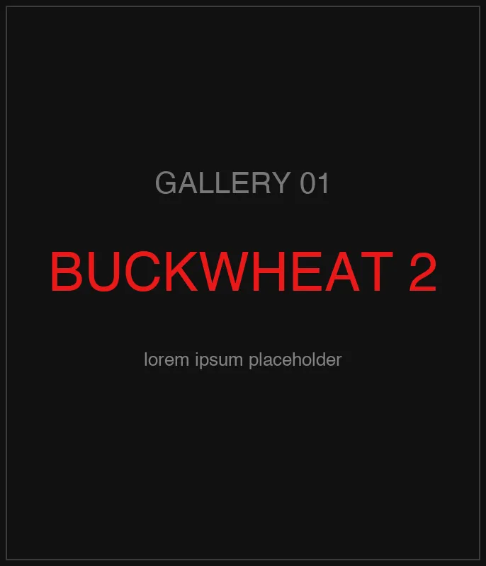 Ukrainian Buckwheat Groats — кадр 2