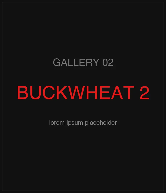 Ukrainian Buckwheat Groats — кадр 3