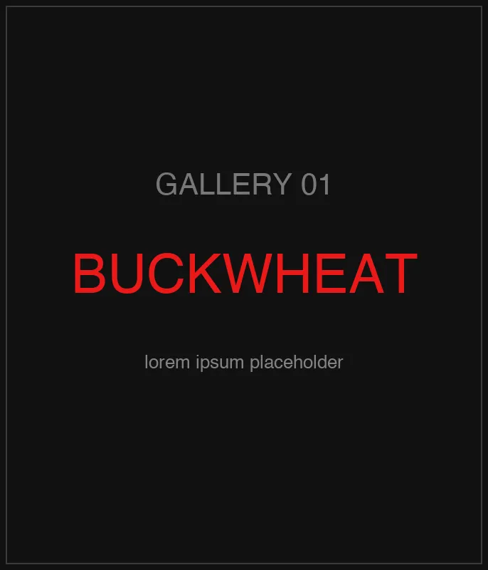 Ukrainian Buckwheat Groats — кадр 2