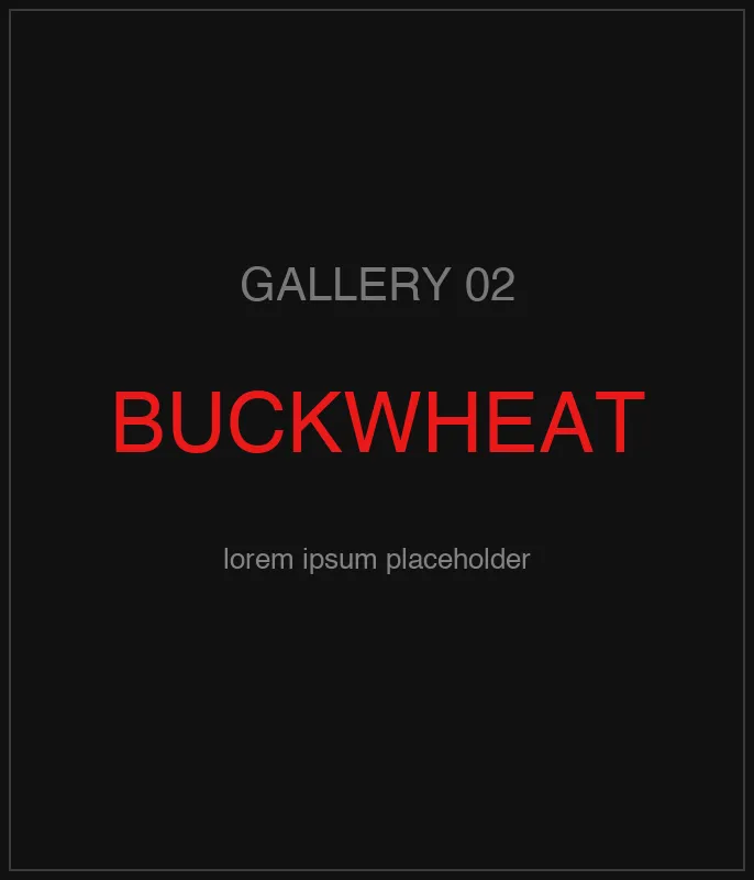 Ukrainian Buckwheat Groats — кадр 3