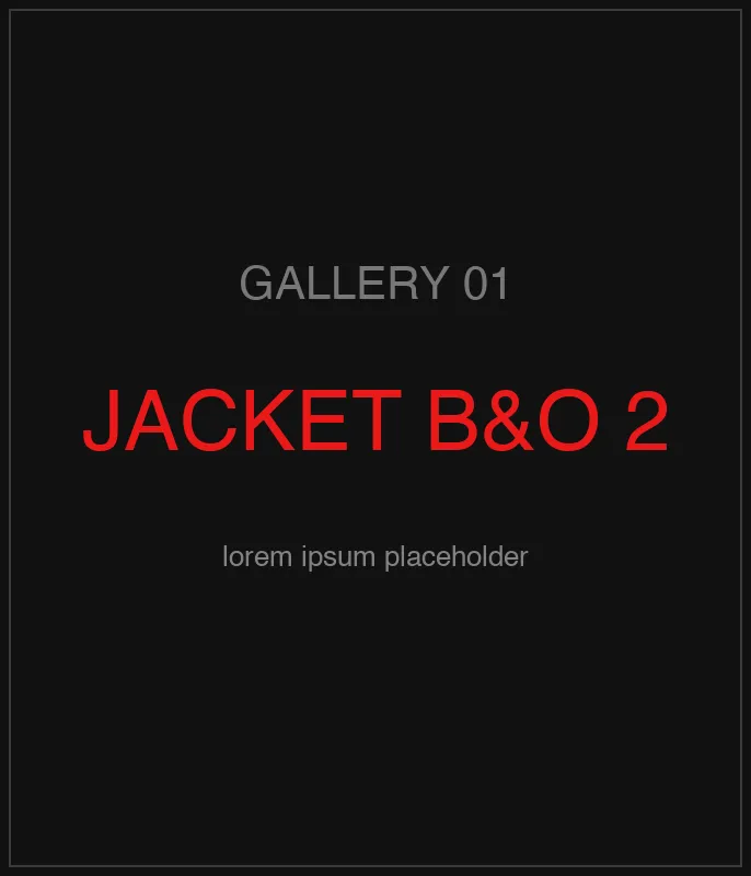 Jacket Black & Olive — кадр 2