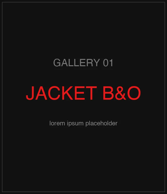 Jacket Black & Olive — кадр 2