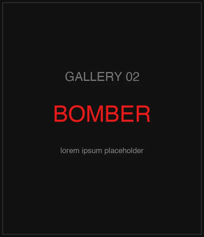 Red Signal Bomber Jacket — кадр 3